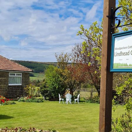 Woodpeckers Cottage سكرابورو المظهر الخارجي الصورة