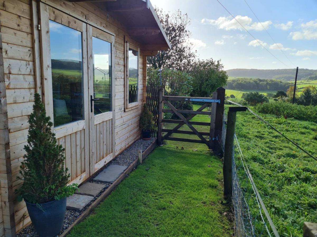 Woodpeckers Cottage سكرابورو المظهر الخارجي الصورة